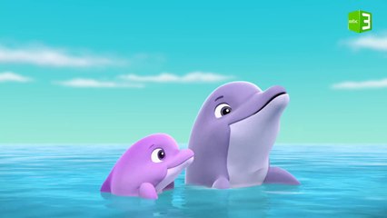 عودة صغير الدولفين إلى عائلته