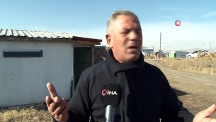 Bu kuşlara fiyat biçilemiyor, tescil için gün sayıyorlar