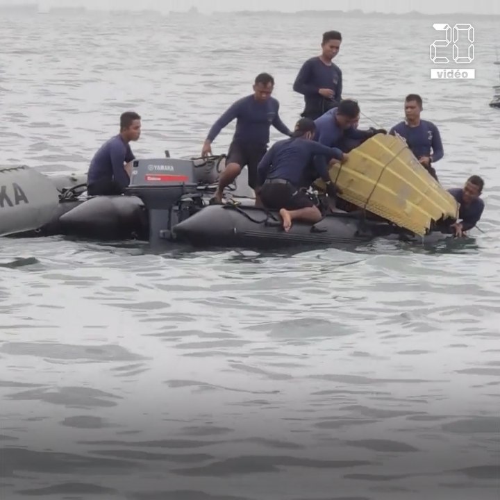 Crash d’un Boeing 737 : Les deux boîtes noires de l'avion indonésien localisées