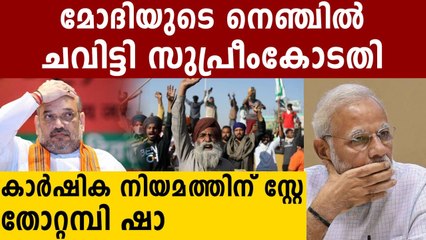 Supreme Court proposes stay in implementation of farm laws