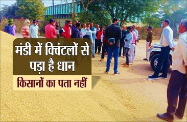 जांच के लिए मंडी पहुंचे थे SDM और तहसीलदार