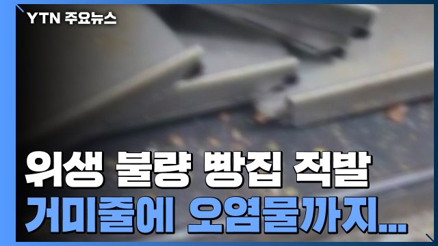 위생 불량 빵집 적발...거미줄에 오염물 '덕지덕지' / YTN