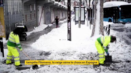 Tempête Filomena : après la neige, le froid