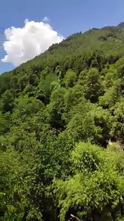 beautiful nature