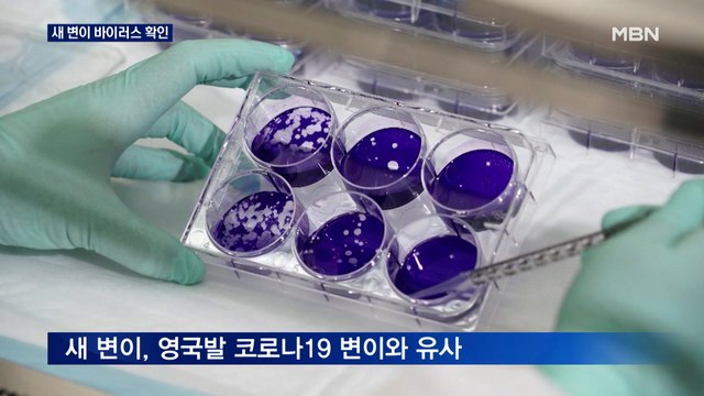 일본서 새 변이 바이러스 확인 '초비상'… 긴급사태 선언 너무 늦었다