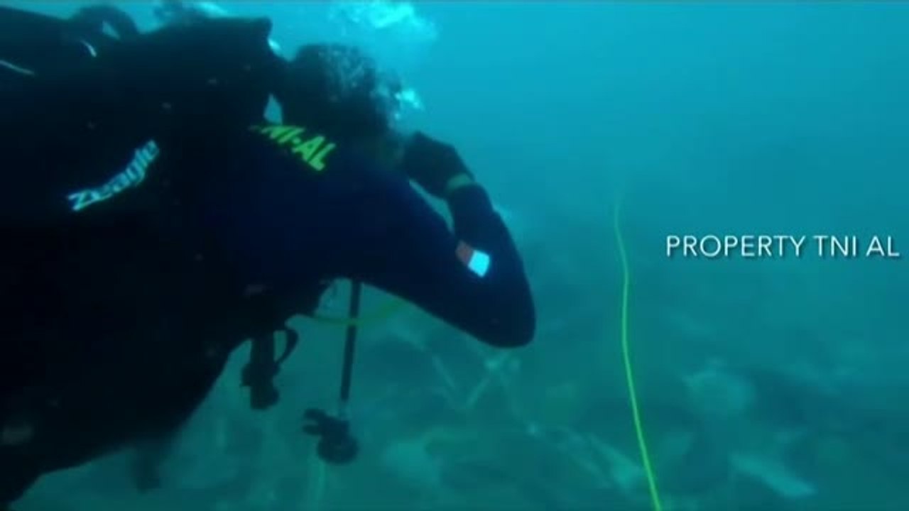 Buceadores indonesios se suman a la búsqueda de las cajas negras del avión siniestrado