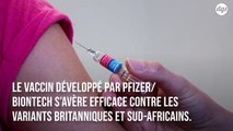 Covid-19 : Le vaccin Pfizer-BioNTech neutraliserait les nouveaux variants du virus