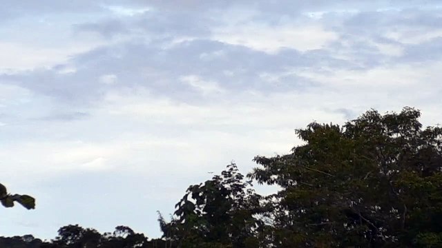 Boeing 777-300ER PT-MUF na aproximação final antes de pousar em Manaus vindo de Guarulhos