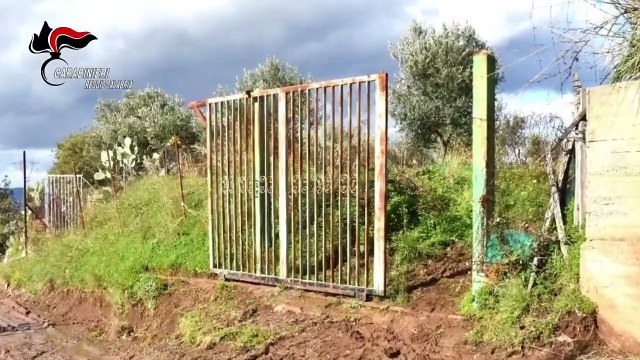 Coniugi uccisi nel Reggino arrestato il cugino. Delitto legato a dissidi su terreno (11.01.21)