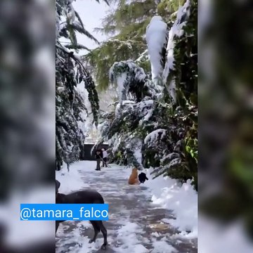 Tamara Falcó y Ana Boyer trabajando duro quitando nieve