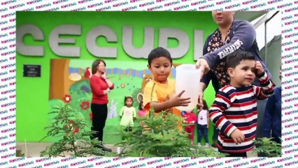 Soluciones del Trece - Martes 12 de enero del 2020