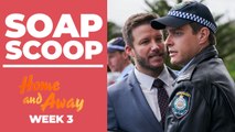 Home and Away Soap Scoop! Angelo arrests Colby