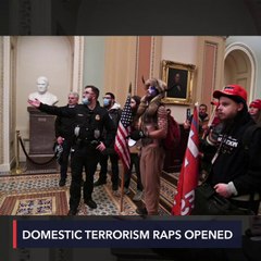 At least 25 domestic terrorism cases opened as result of assault on Capitol – lawmaker