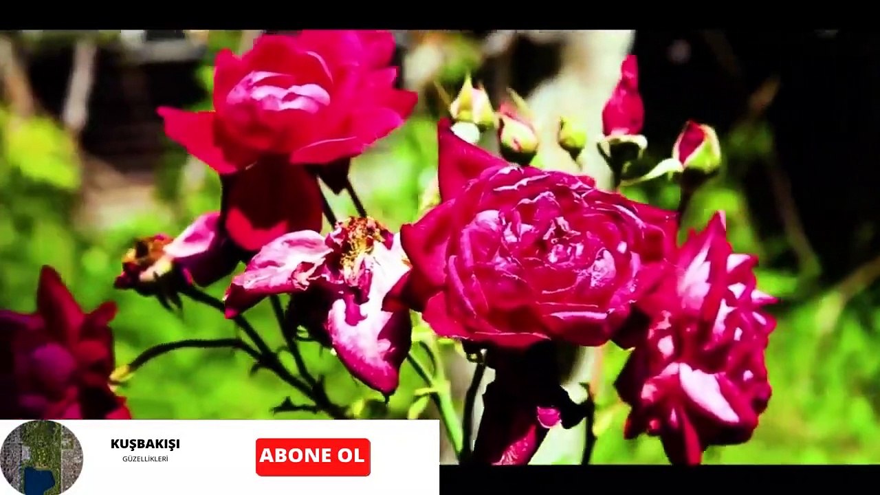 Hamza Aktürk ~ Erzurum Kars Ardahan Potbori #Part2