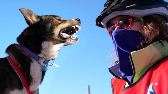 La Grande Odyssée Savoie Mont-Blanc - Les Belles Images de l’Etape 2 – Lundi 11 janvier – Montagnes du Giffre – Grand Massif