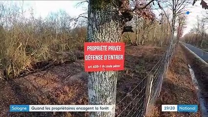 Sologne : plus de 5 000 km de grillage autour de la forêt pour des parties de chasse privées