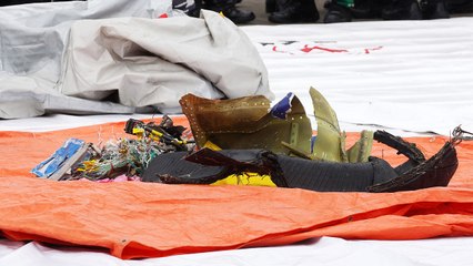 Indonesian Authorities Search for Answers Following Fatal Jet Crash