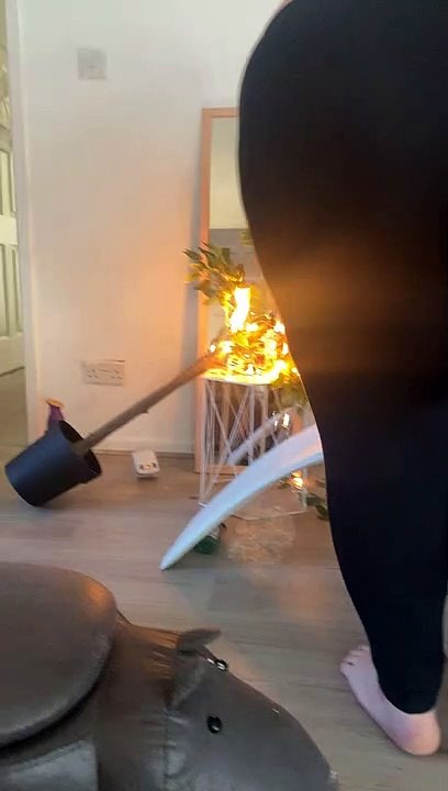 Fire Goes from Candle to Tree