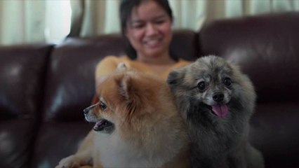 Dogs Bring More Germs In, But Research Says They Still Make Us Healthier