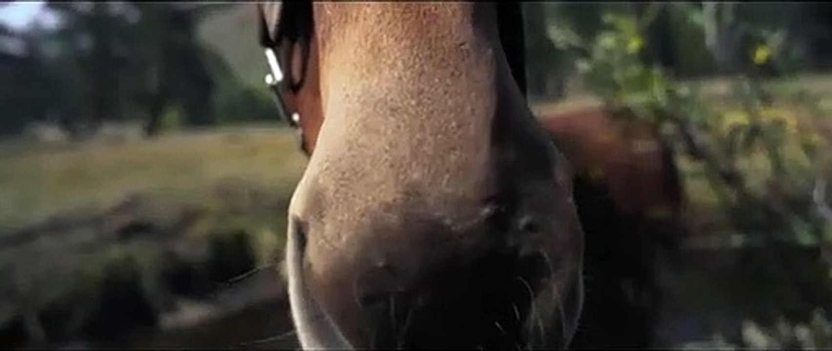 U.S Green Berets • 5th Special Forces Group • Horsemanship Course