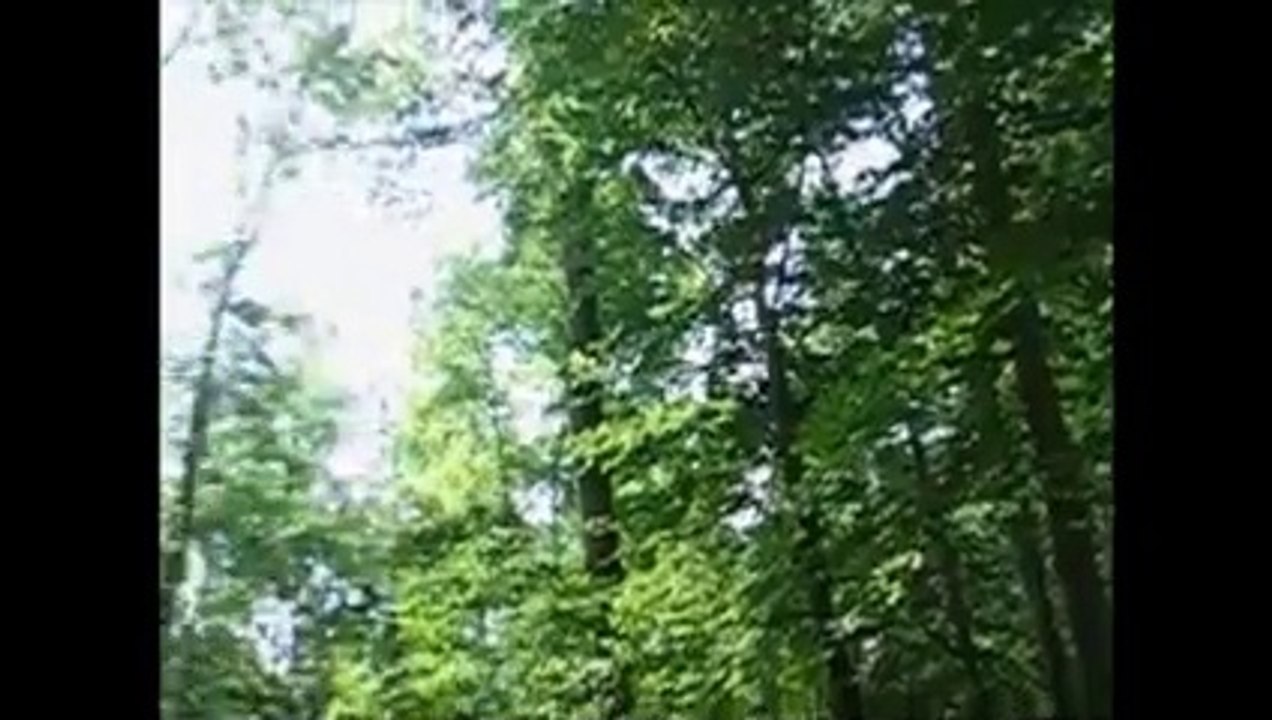 Vorboten für ein Gewitter Mittwoch01.Juni2011 Video Nummer1