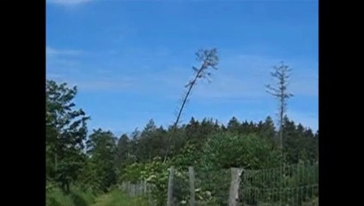 Vorboten für ein Gewitter Mittwoch01.Juni2011 Video Nummer3