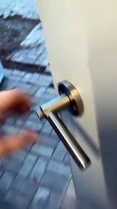 How to Show Someone You're into Dog Training Without Telling Them