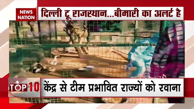 Bird Flu: Bird flu outbreak confirmed in 10 states so far:Govt