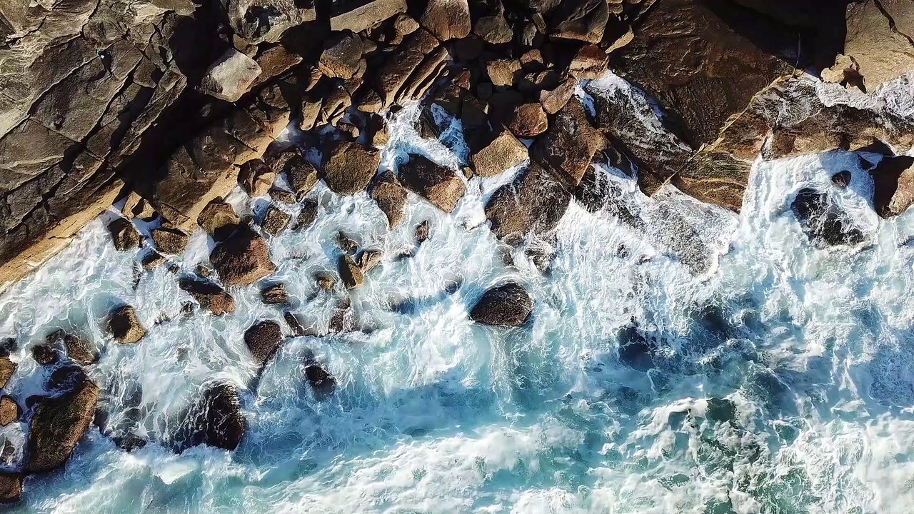 Nature waves