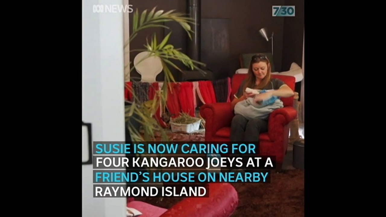 Over a billion Australian wildlife dead in this season's bushfires