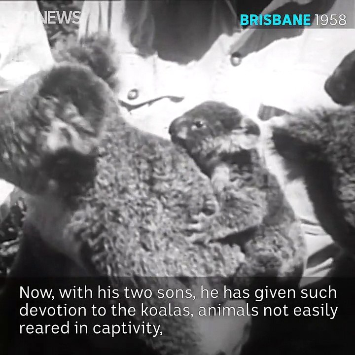 Interlude: Lone Pine Koala Sanctuary