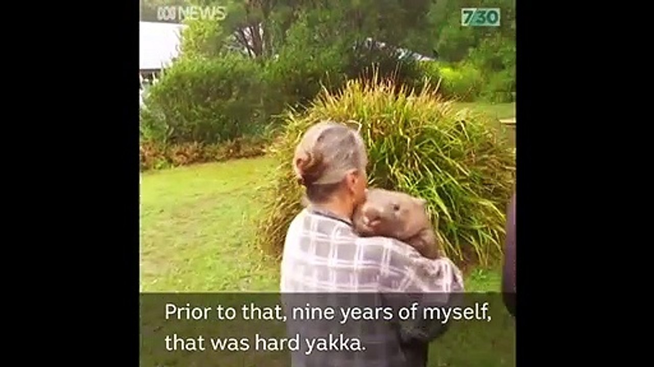 Baby Wombat