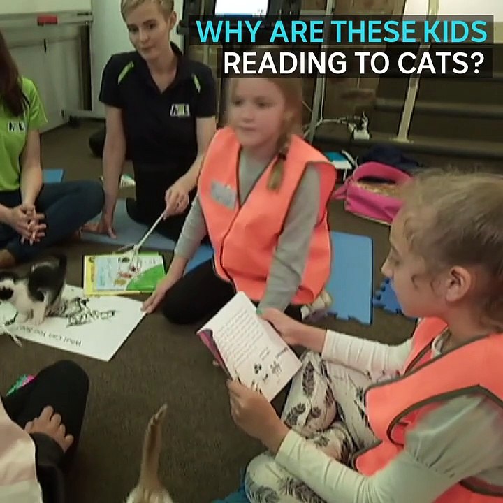 Children and kittens are teaching each other