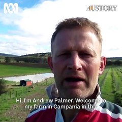 Drought-stricken farmers share their story