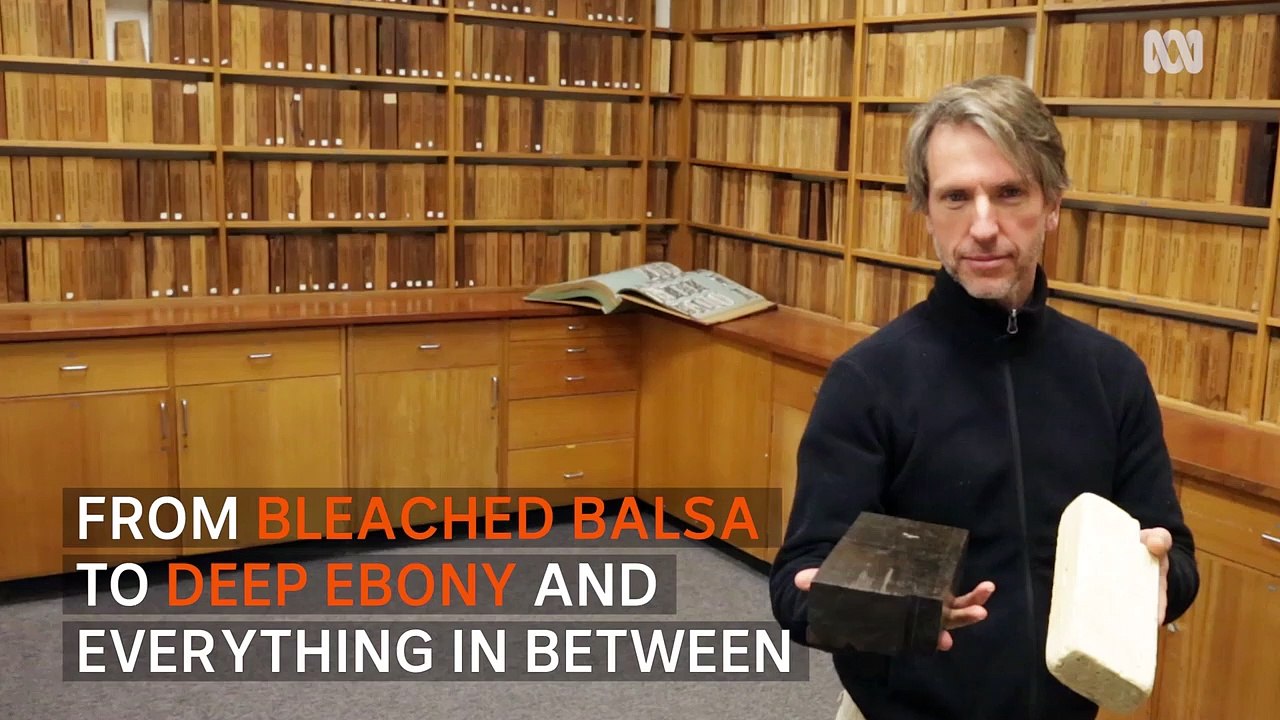 Growing interest in wood libraries
