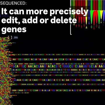 The future of genetically modified animals