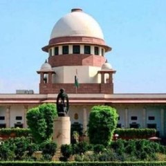 Farmers' protest: SC may deliver order in parts