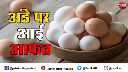 अंडे पर इस वजह से आई आफत