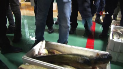 İstanbul’da balık tezgahlarında denetim yapıldı