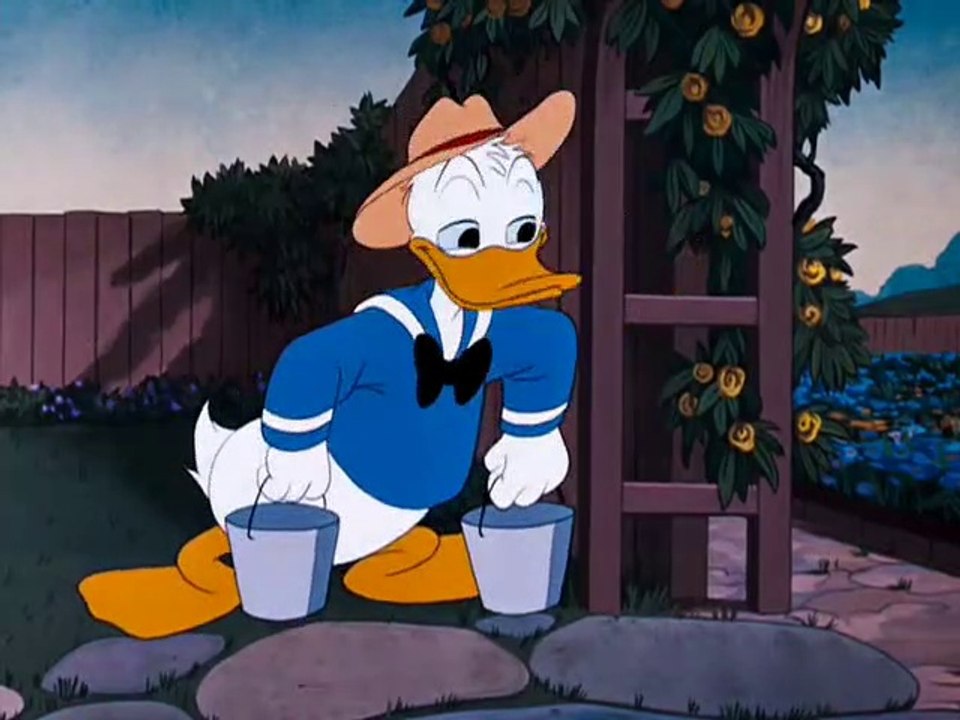 Bee On Guard 1951