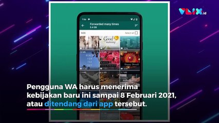 Kenapa Ramai Hapus WhatsApp? Beralih ke Signal dan Telegram
