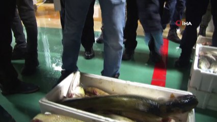 İstanbul’da Balık Tezgahlarında Denetim Yapıldı