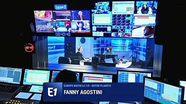 Changement climatique : la recrudescence des algues accélère ses effets