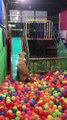 Doggy Having a Blast in the Ball Pit