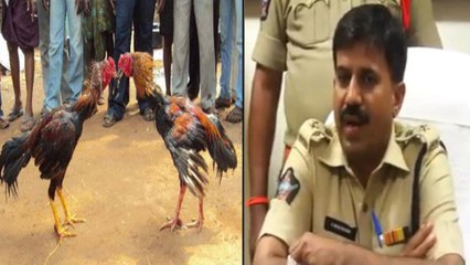 #Kodipandalu : ప.గో:  కోడిపందాలు నిర్వహిస్తే శిక్ష తప్పదు - West Godavari SP K.Narayan Naik