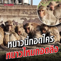 ลิงลพบุรีนั่งหนาว กอดกันตัวสั่น