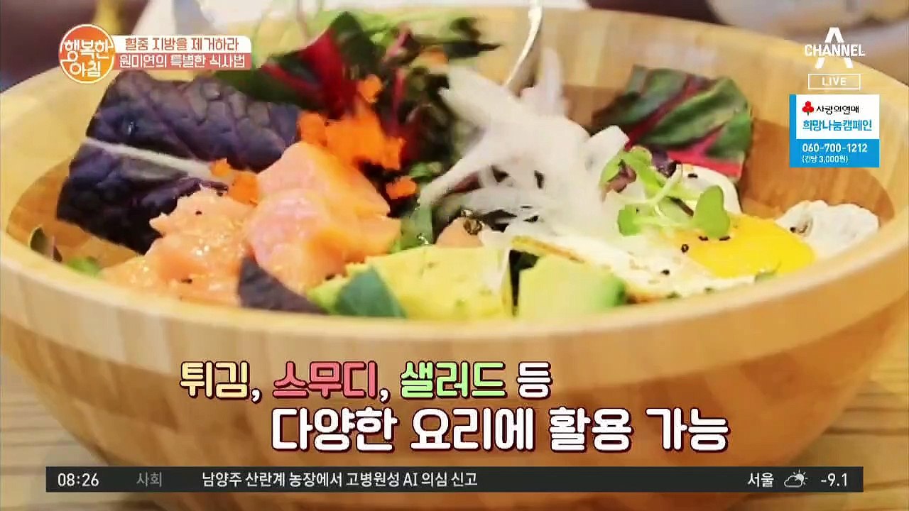 혈중 지방을 제거하라! 원미연의 아보카도 오일 식사법!