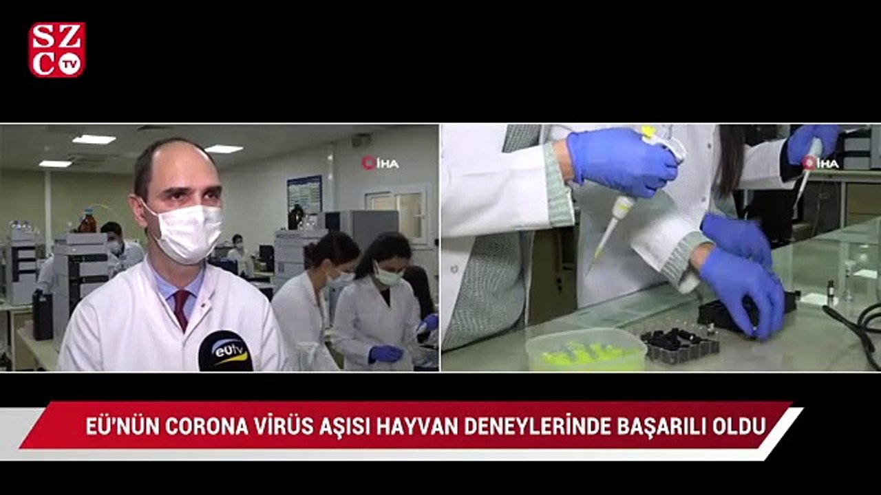 EÜ’nün korona virüs aşısı hayvan deneylerinde başarılı oldu