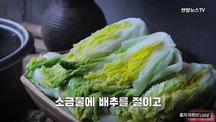 [PICK] 중국 유명 유튜버의 도발?…"김치는 #중국음식"