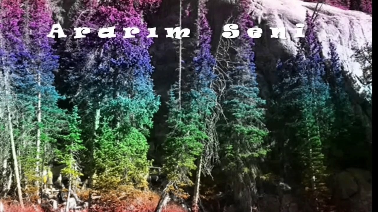 ARARIM SENİ** Seslendiren** Video Klip** Aynur AVCI